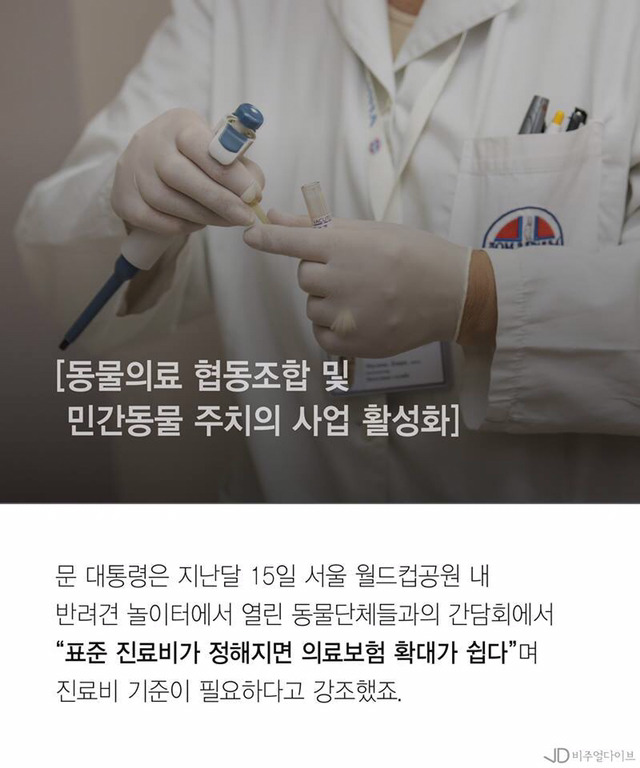 유기견"토리"청와대 입성할까... 문재인의 반려동물 5대 공약 | 인스티즈