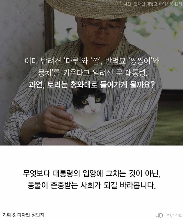 유기견"토리"청와대 입성할까... 문재인의 반려동물 5대 공약 | 인스티즈