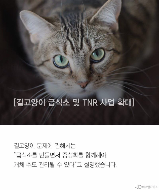 유기견"토리"청와대 입성할까... 문재인의 반려동물 5대 공약 | 인스티즈