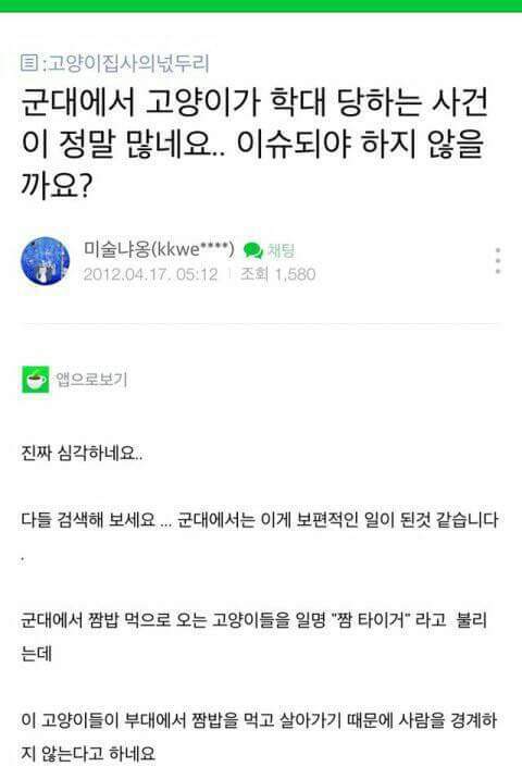 군대에서 빈번하게 일어나는 고양이 학대 (혐오주의) | 인스티즈