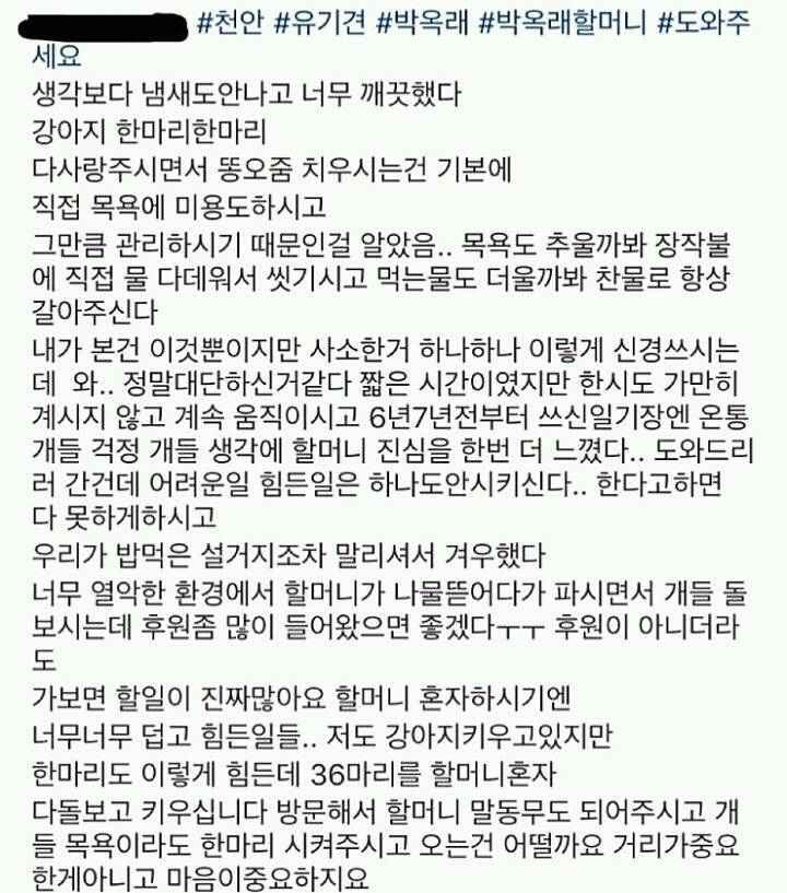 유기견, 유기묘들을 혼자 키우시는 70대 박옥래 할머니를 도와줘!! | 인스티즈