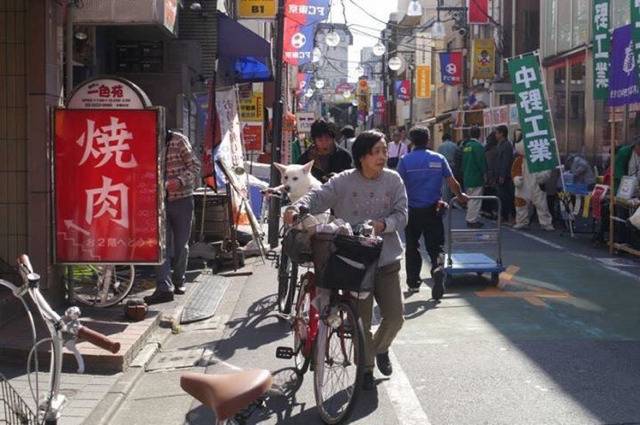 날 버렸던 전 주인이 귀여운 강아지를 품에 안고 있다 | 인스티즈