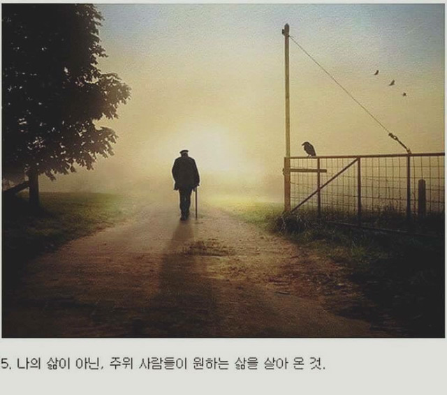 인간이 죽으면서 가장 많이하는 후회들 | 인스티즈