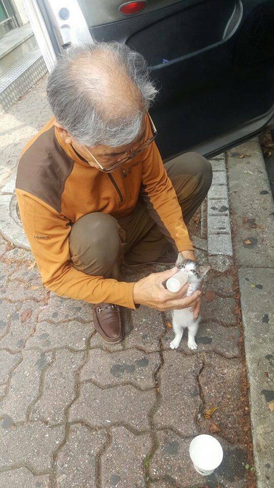 애기냥이 우유 먹이는 할아버지 | 인스티즈