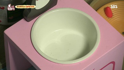 [동물농장] 위너집에 사는 두 얼굴의 고양이 죠니 | 인스티즈