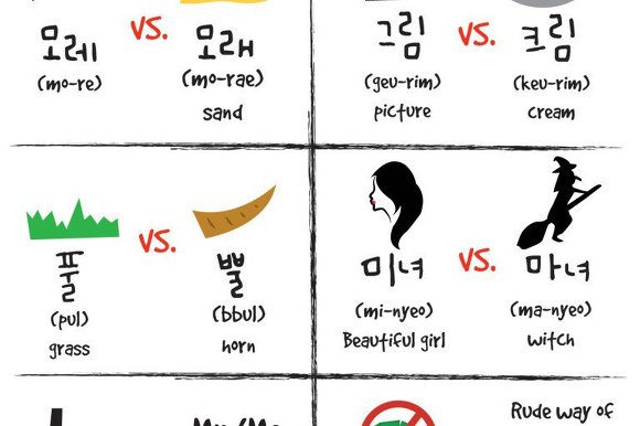 외국인들의 한국어 공부 | 인스티즈