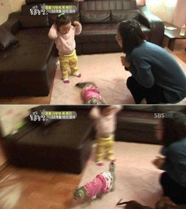 ...고양이..jpg | 인스티즈