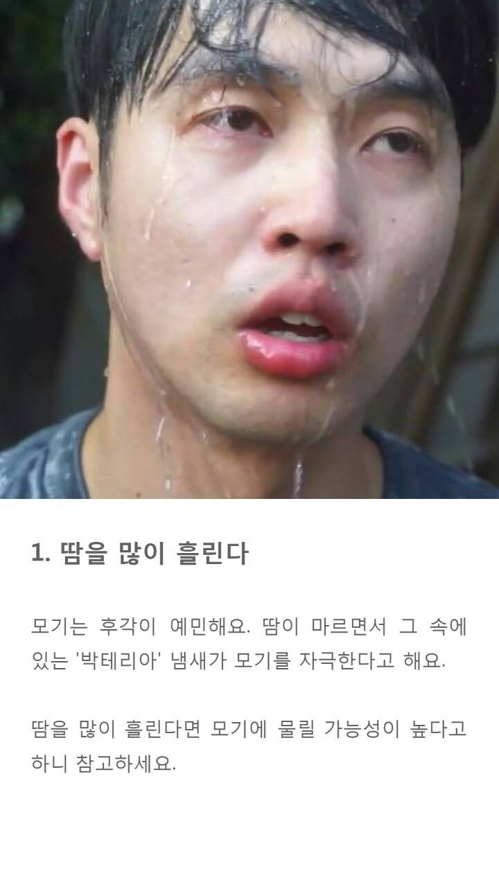 모기에게 잘 물리는 사람들 특징9가지 | 인스티즈