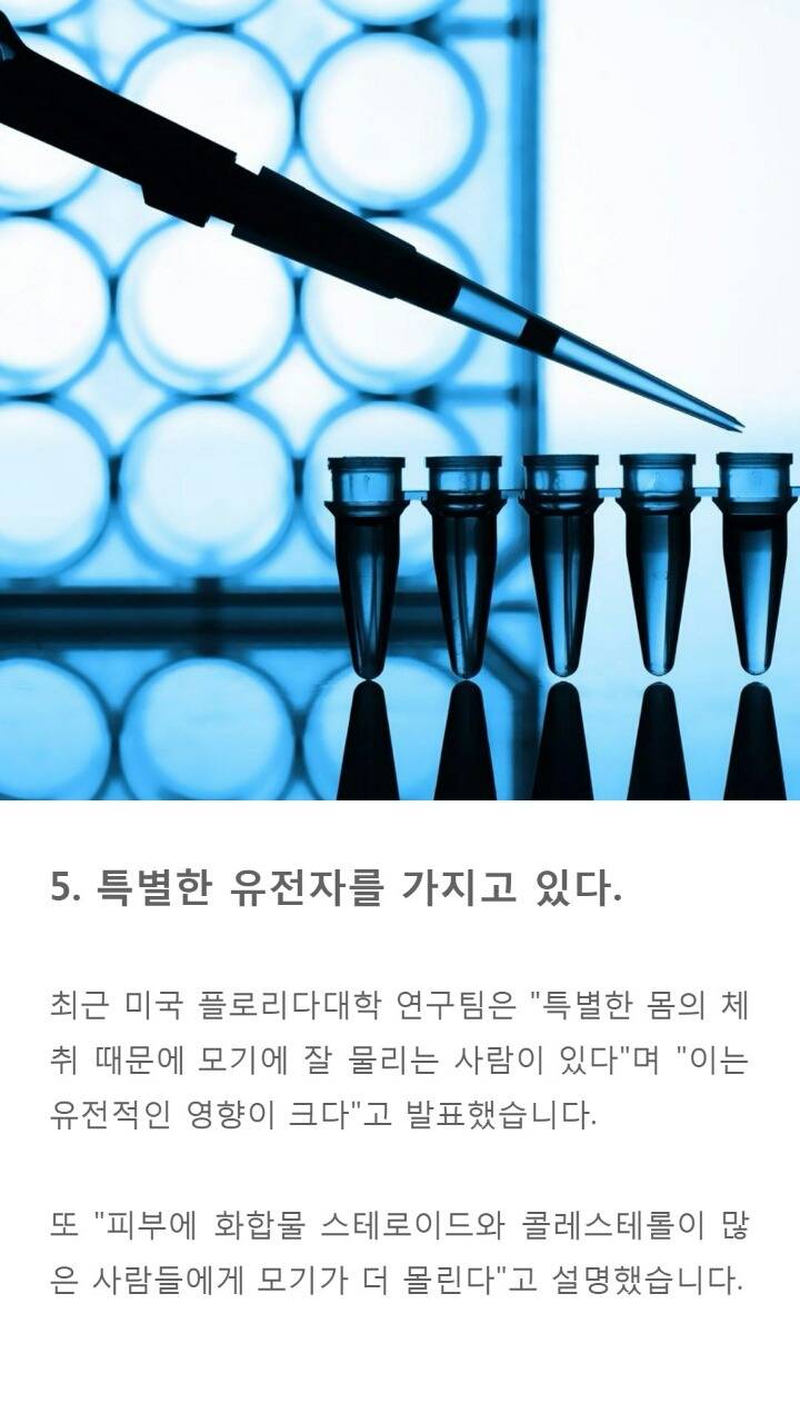 모기에게 잘 물리는 사람들 특징9가지 | 인스티즈