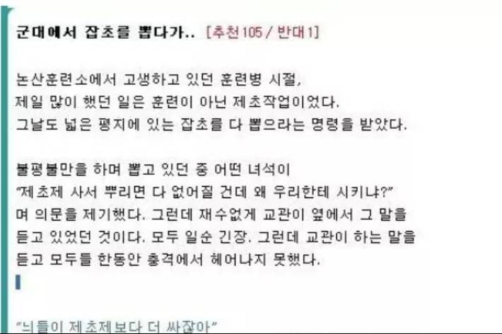 군대에서 잡초를 뽑는 이유 | 인스티즈