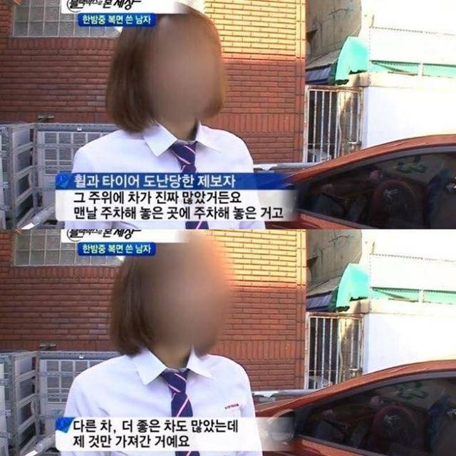 뭔가 귀여운 제보자.jpg | 인스티즈