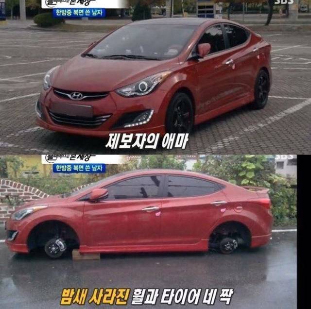 뭔가 귀여운 제보자.jpg | 인스티즈