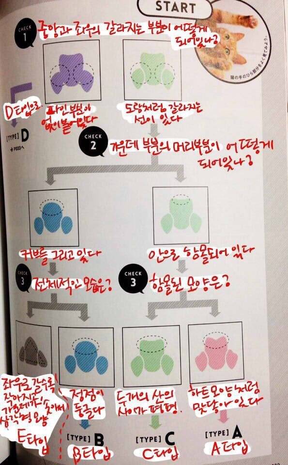 고양이 젤리에도 손금 있는거 알아? | 인스티즈