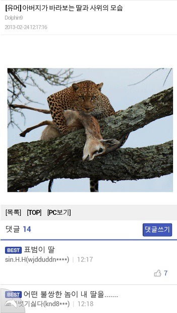 아버지가 바라보는 딸과 사위의 모습 | 인스티즈