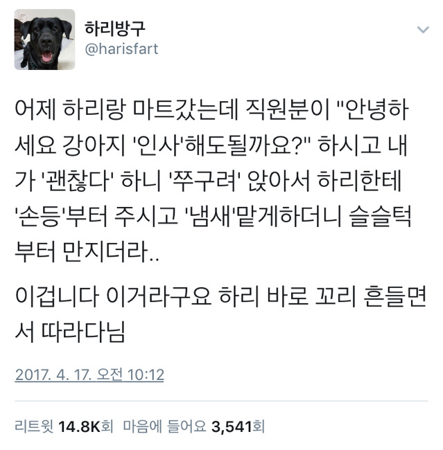 숙련된 조교의 시범(부제: 낯선 강아지랑 인사하기) | 인스티즈