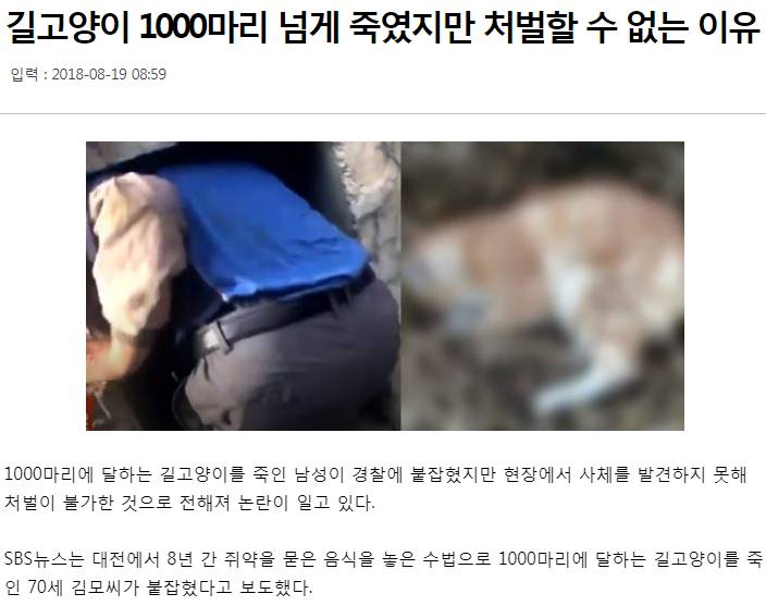 길고양이 1000마리 넘게 죽였지만 처벌할 수 없는 이유 | 인스티즈