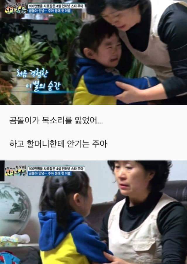 4살 여자아이가 처음 경험해본 이별 | 인스티즈