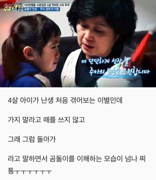 4살 여자아이가 처음 경험해본 이별 | 인스티즈