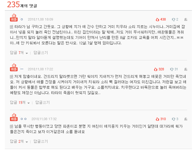 [판] 조카가 놀래서 제 애완동물 죽여버린 예랑이 | 인스티즈