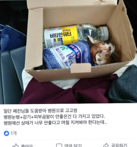 원룸 꾸미기 레전드 | 인스티즈