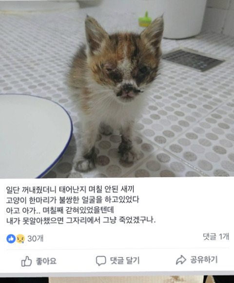 원룸 꾸미기 레전드 | 인스티즈