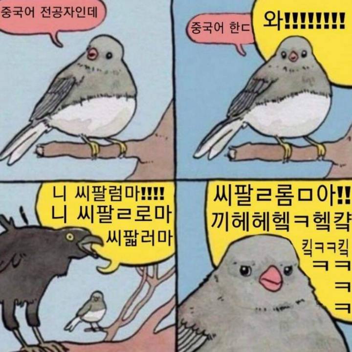 중국어 전공자의 고충.jpg | 인스티즈