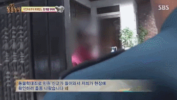 옆집 남자가 밤마다 강아지를 때리는 것 같아요 근데..gif | 인스티즈