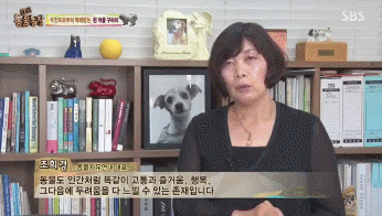 옆집 남자가 밤마다 강아지를 때리는 것 같아요 근데..gif | 인스티즈