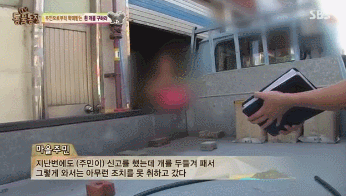 옆집 남자가 밤마다 강아지를 때리는 것 같아요 근데..gif | 인스티즈