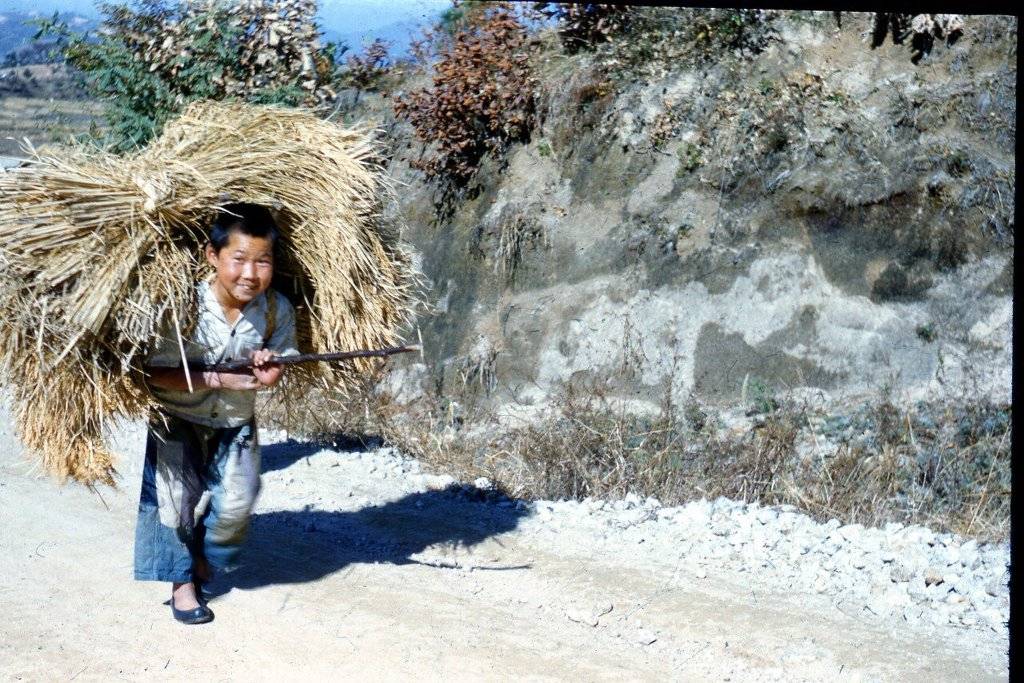 노르웨이 의사가 찍은 한국전쟁 당시 컬러사진 | 인스티즈