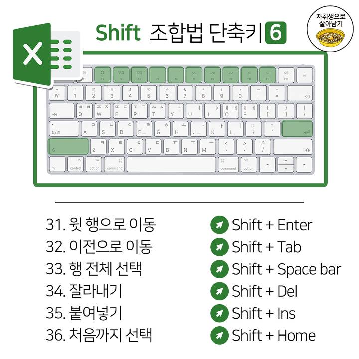 직장인이 활용하기 좋은 엑셀 단축키 46가지 | 인스티즈