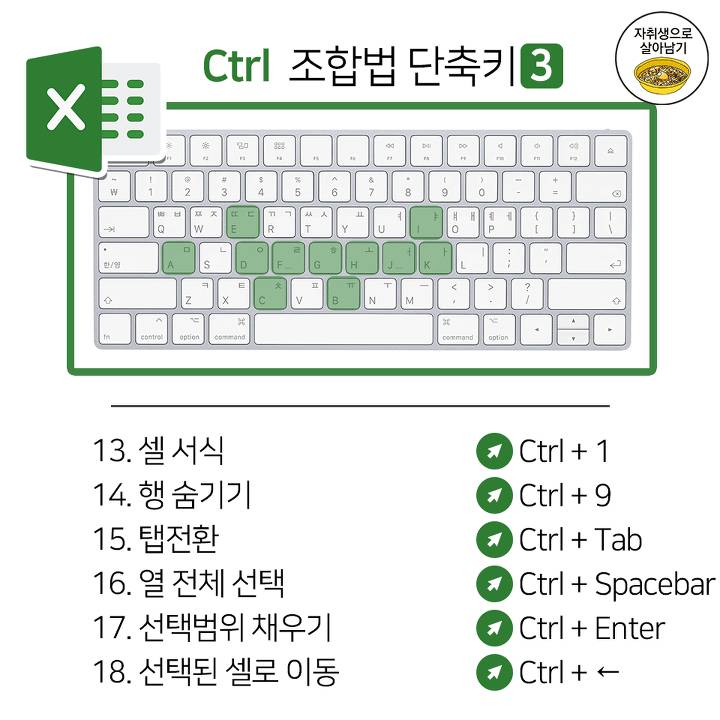 직장인이 활용하기 좋은 엑셀 단축키 46가지 | 인스티즈