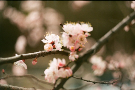  마음이 숨겨지는 연애는 하고 싶지 않다 | 인스티즈