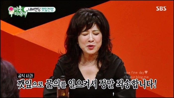 대한민국 예능인 다 달려들어도 답이 나오지 않았던 난제, 이무송-노사연 외간깻잎사건 (스압) | 인스티즈