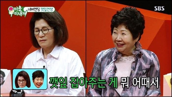 대한민국 예능인 다 달려들어도 답이 나오지 않았던 난제, 이무송-노사연 외간깻잎사건 (스압) | 인스티즈