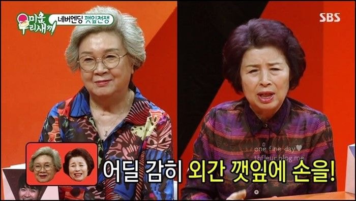 대한민국 예능인 다 달려들어도 답이 나오지 않았던 난제, 이무송-노사연 외간깻잎사건 (스압) | 인스티즈