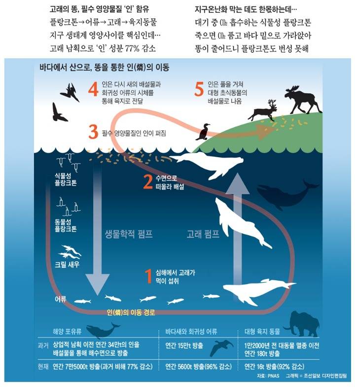 고래의 똥의 일생 | 인스티즈