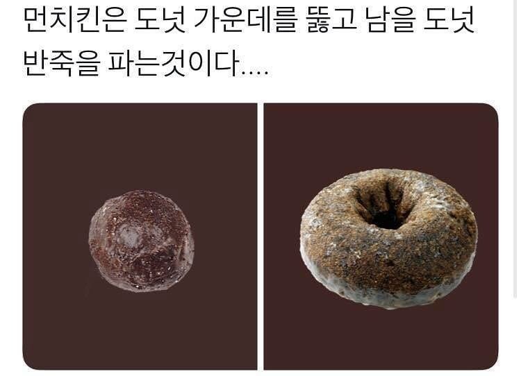 이 도넛을 먼치킨이라고 부르는 이유 - 인스티즈(Instiz) 이슈 카테고리