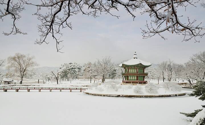 경복궁의 사계절 | 인스티즈