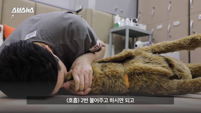 사람이 쓰러졌어요! 의식이 없어요! 우리 강아지가 쓰러져서 일어나지 않아요! 살려주세요!! | 인스티즈