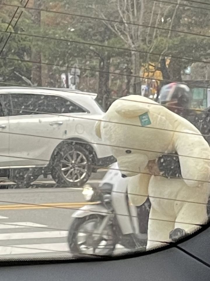 당근마켓에 팔려가는 곰돌이 | 인스티즈