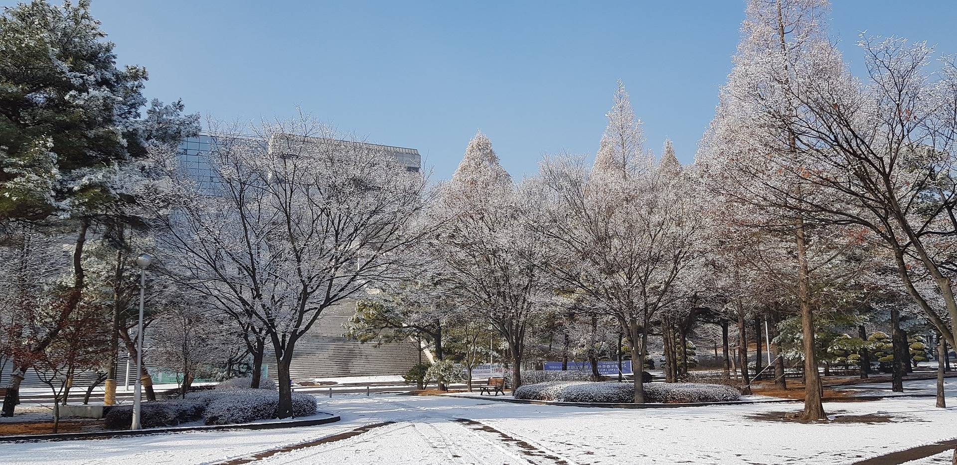 ❄️한국의 겨울❄️ | 인스티즈