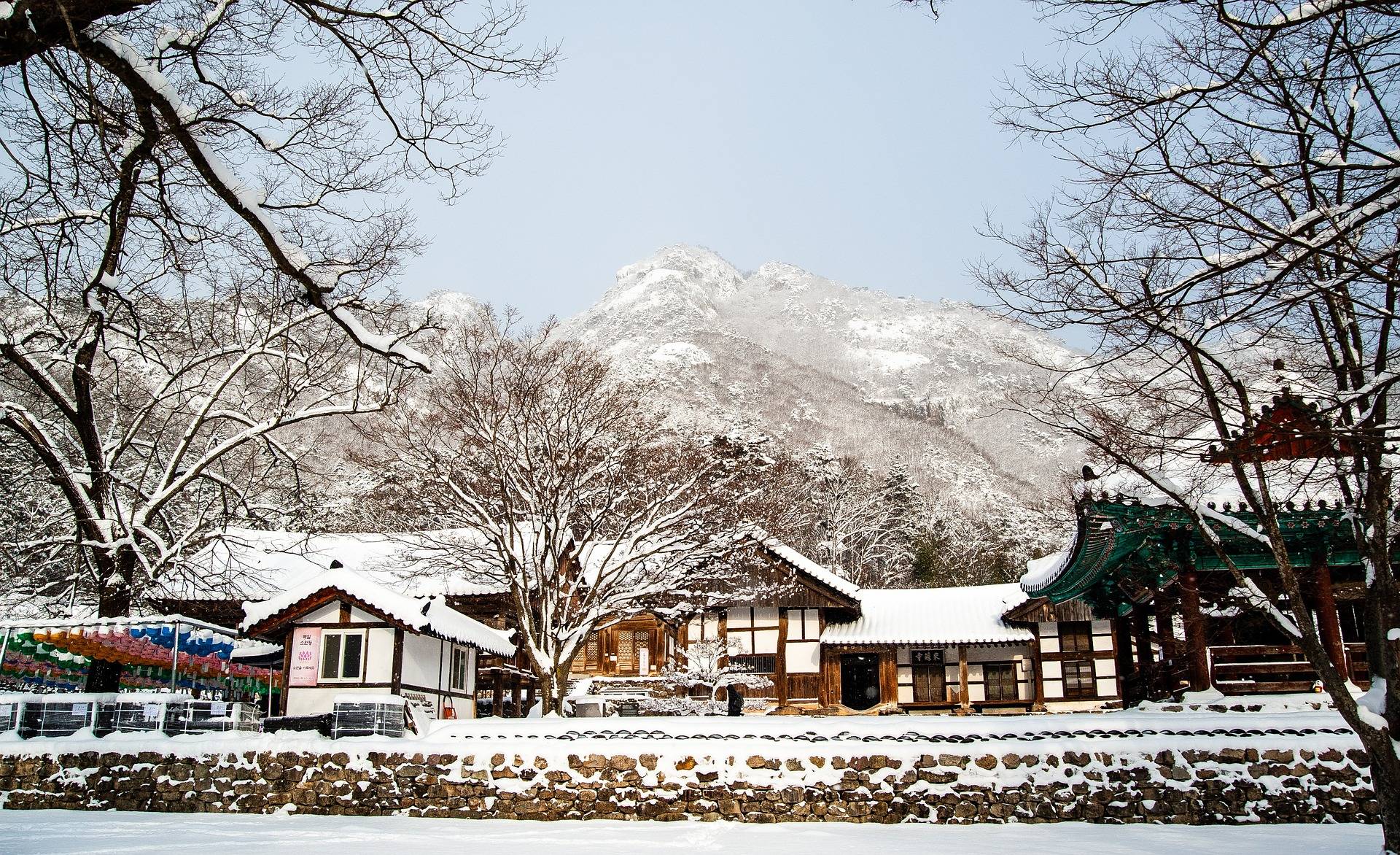 ❄️한국의 겨울❄️ | 인스티즈