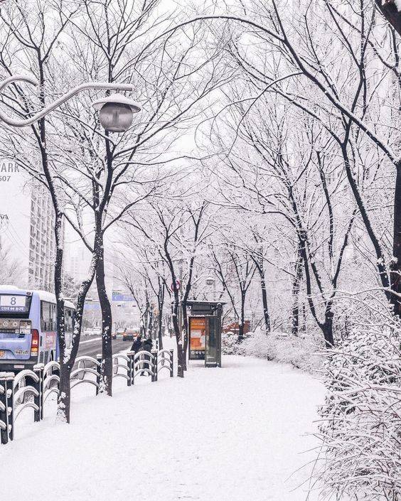 ❄️한국의 겨울❄️ | 인스티즈