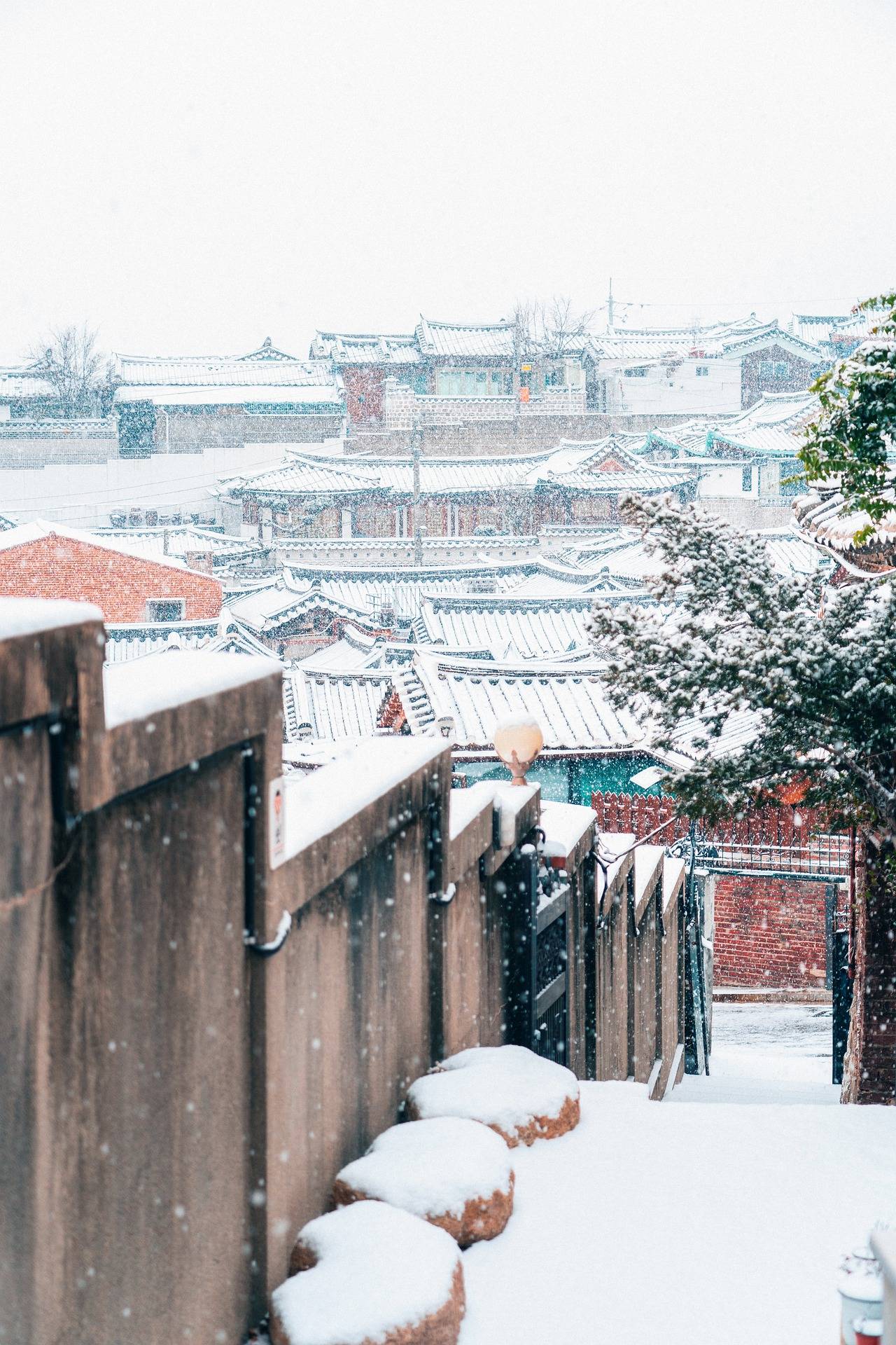 ❄️한국의 겨울❄️ | 인스티즈