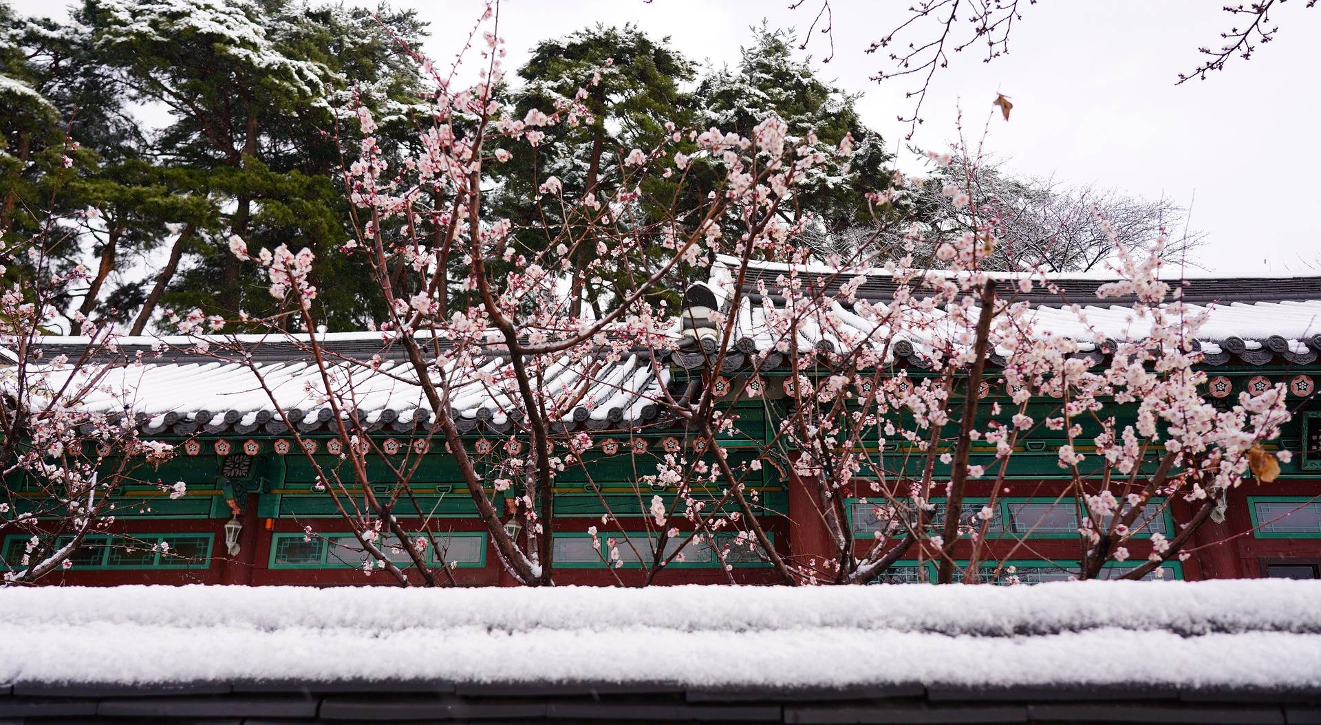 ❄️한국의 겨울❄️ | 인스티즈