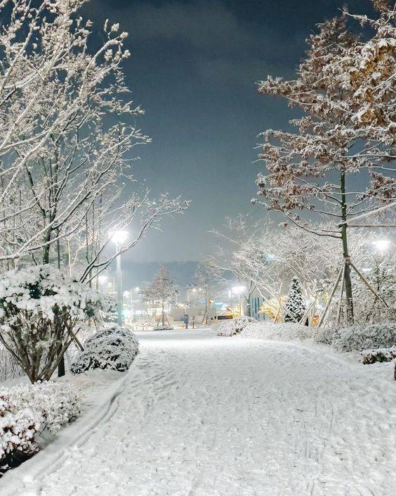 ❄️한국의 겨울❄️ | 인스티즈