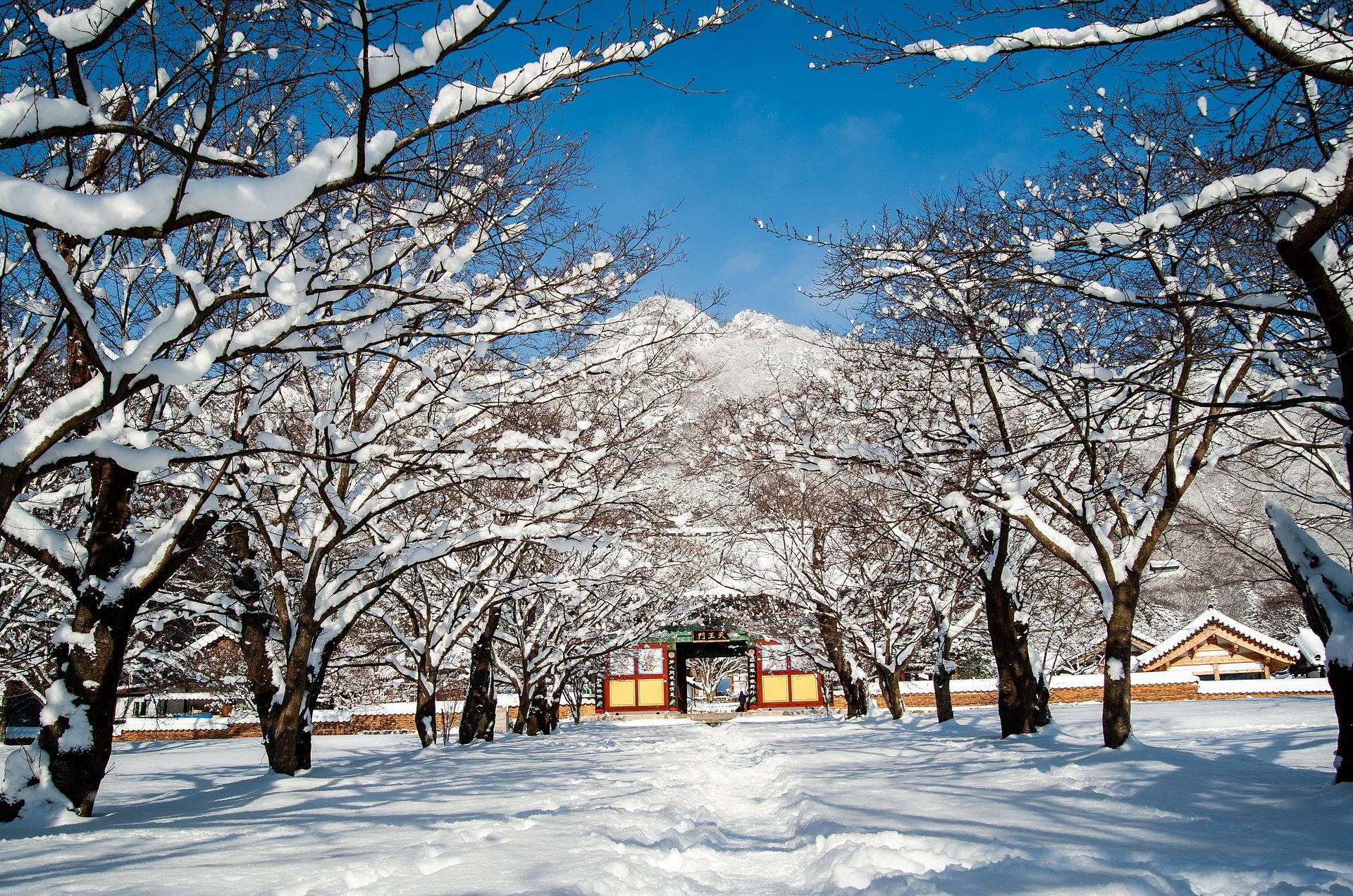 ❄️한국의 겨울❄️ | 인스티즈