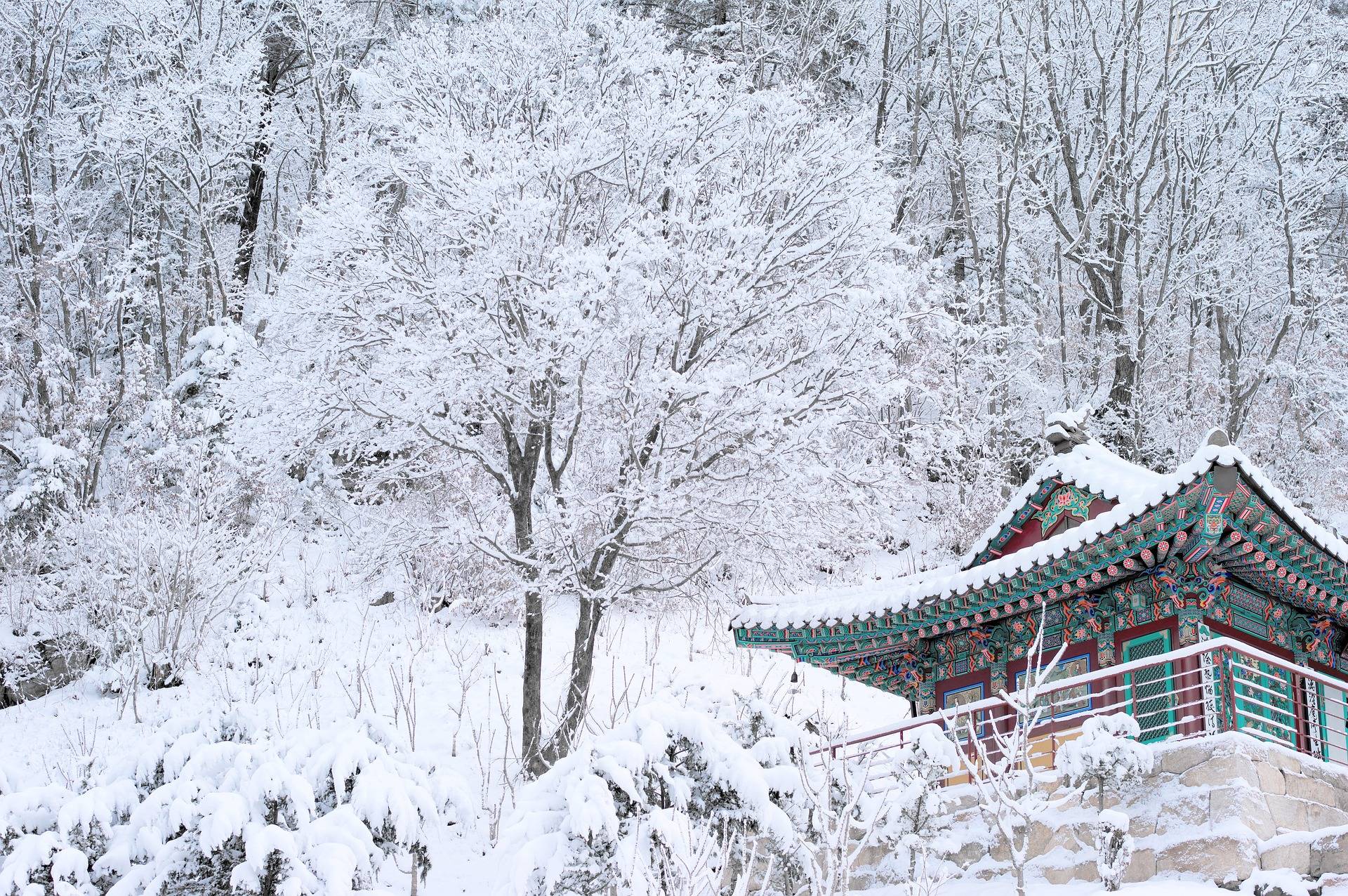 ❄️한국의 겨울❄️ | 인스티즈