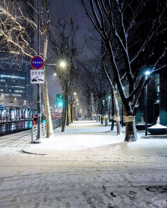 ❄️한국의 겨울❄️ | 인스티즈